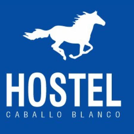 Hostel Caballo Blanco Cartagena  Exterior foto