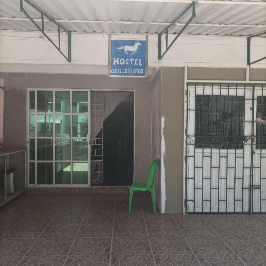Hostel Caballo Blanco Cartagena  Exterior foto